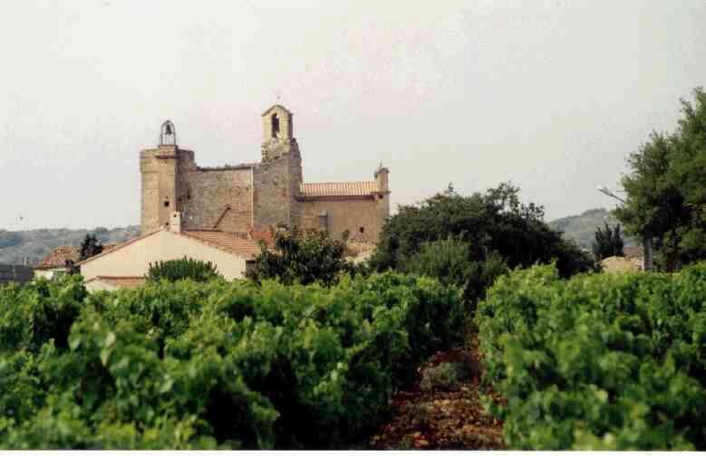 terroir des vignerons d'est�zargues