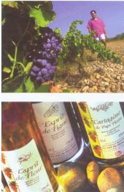 de fruits et de fleurs