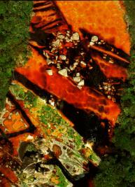  Gran Sabana, au sud ouest du Vnzuela, la rivire du tepoui attire les chercheurs d'or. Les orpailleurs polluent les rivires avec du mercure pour extraire l'or